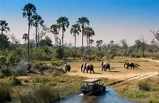botswana travel safe delta okavango safari game abroad
