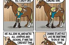 horse horses funny humor memes ryda credit animals girl quotes cartoon horsey jokes equestrian family
