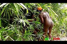 bush sex xvideos