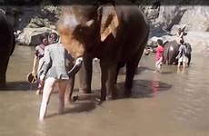 elephant trunk grumpy midair stroking footage started heard gasping backside whitney rushes