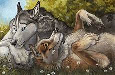 furry anthro wolves sill