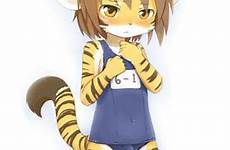 furries tiger shota gay small petite species very weebly