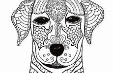 woof favecrafts coloringpagesonly getdrawings irepo primecp unicat cymbal