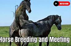 breeding breed