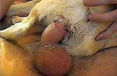 man animals dog videos zoo small cute cowgirl tube pose bangs dirty