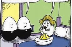 egg puns deviled memedroid