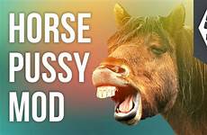horse vagina anus mod furries
