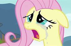 fluttershy pony crying little friendship magic mlp flutter cries wiki sad cry fanpop why champion hooves sir blogs wikia human