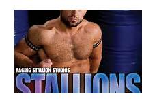 raging stallion stallions studios calendar kent taylor 2010 amazon