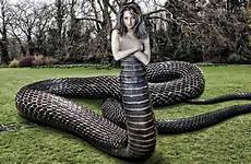 half cobra mythology mythical creatures