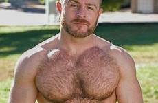 hunks chest bears bearded dudes dude
