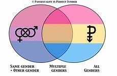pansexuality bisexuality pansexual gender bisexual omnisexual pansexuell binary espada parody regards inhibited