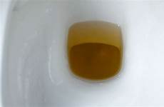 toilet pee yellow urine water flushed flushing down directly above being shot close top video