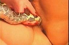 snake python sexy games sluts nasty enjoying paddled looking videos zoo zootube1