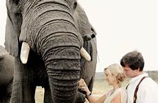 safari african wedding elephants south popsugar