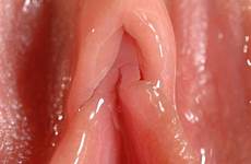 pussy wet pink nsfw smutty clitoris grool zoom closeup