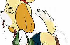 isabelle animal crossing scat rule rule34 xxx deletion flag options edit respond