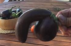 eggplant penis shaped auctioning glad just trademe re thrillist