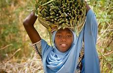 zarma niger people carrying onion seedlings fresh green girl african africa choose board nigerien nigeria women