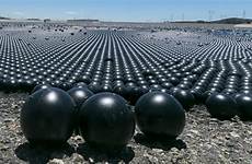 balls reservoir la ball shade potential disaster experts rollout say making warn foxnews