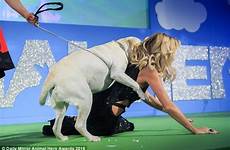 amanda holden dogs her animal mounted hero she awards battersea pup life dog bowled when over canine licked down overzealous