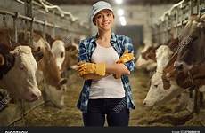 farm cow dairy worker posing female livestock cowshed inside stock