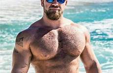 bearded homens daddy beefy hunks dilfs barbudo muscled ursos barba