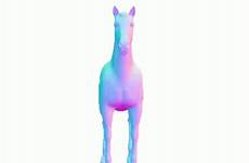 gif trippy horse tenor