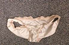 panty lost raid panties found