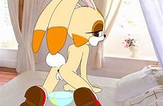peeing cream sonic rabbit pussy xxx rule ass options deletion flag original edit resize rule34