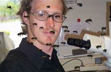 sting bees his scientist lets