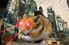 hamster fire laser monster imma