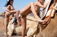nude camels topless