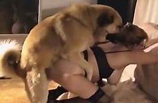 mature dog zoo her female doggy videos pose impaled nerdy gets style tube