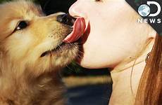 dog lick face let human her should mouth woman licked never wound