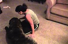 woman vs mastiff