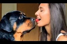 dog kissing girl video