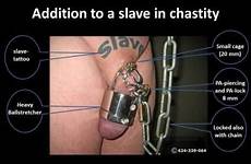 chastity pierced sissy cage