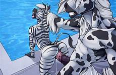 furry zebra anthro comic sex horse female xxx male big ass pussy mare giraffe pool cum difference eyes tight fit