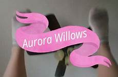 aurora willows