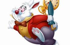 rabbit alice wonderland disney characters wiki 1951 animated choose board background