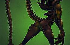 aliens alien predator xenomorph e621 yautja butt luscious humanoid monster predalien