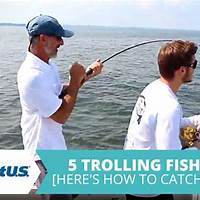 Trolling techniques at Seaforth Fishing