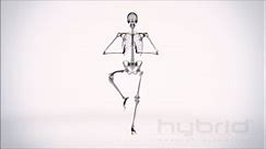 X-ray Body in Motion - Yoga by Hybrid Medical Animation
