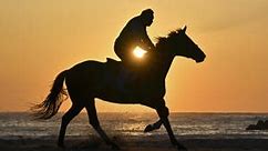 相馬野馬追へ「朝駆け」　25日開幕、騎馬武者...海風受け士気高揚