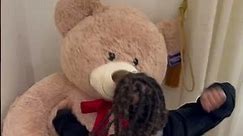 I love teddy bears 🧸 🥰