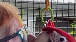 Macaws And More - They have been in the outside aviary and...