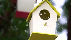 Charming Wooden Birdhouses!
