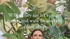 #plants #houseplantshop #curiosities #lifestyleboutique #nature #rarehouseplants #plantobsessed #smallbusiness #womanownedbusiness #mothersdaygiftideas #putnamct | Twogoldmoons