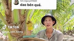 Trả lời @lan.nguyn9481 Cảm ơn phản hồi tích cực về DAO RỬA DỪA từ bạn #nhanongmientay #daoruadua #caydua🌴